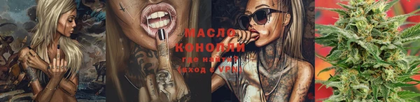 дмт Богородицк