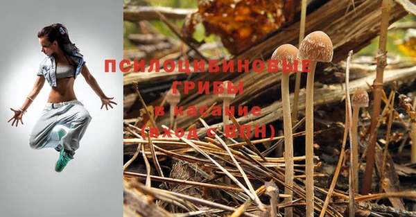 ALPHA-PVP Богородск