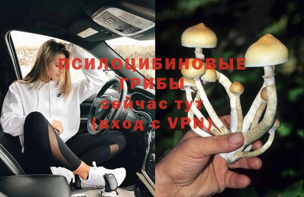 дмт Богородицк