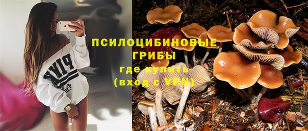 дмт Богородицк