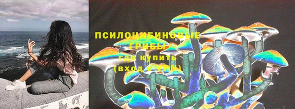 дмт Богородицк