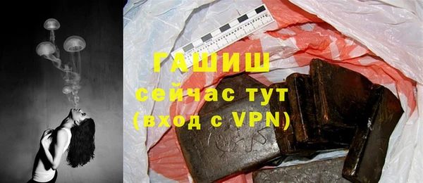 дмт Богородицк