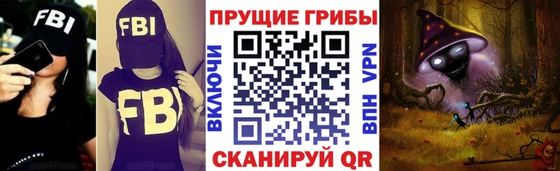 kraken ONION  Егорьевск  Галлюциногенные грибы Psilocybine cubensis 